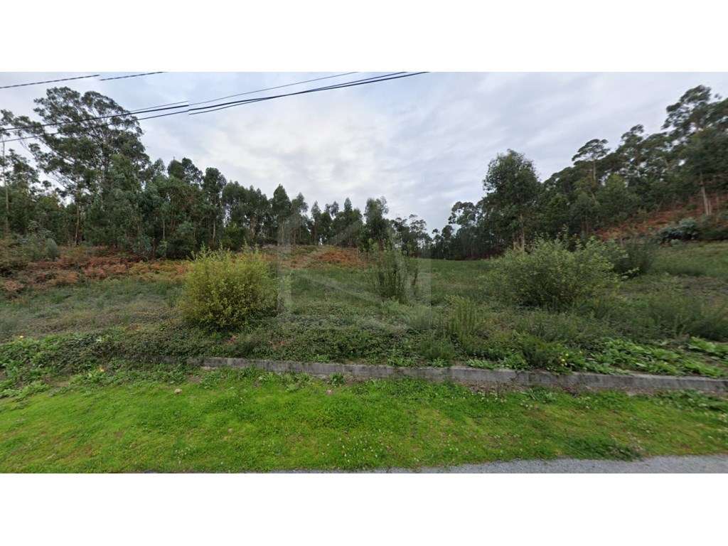 Terreno para Construção em Cesar, Oliveira de Azeméis - Grande imagem: 3/4