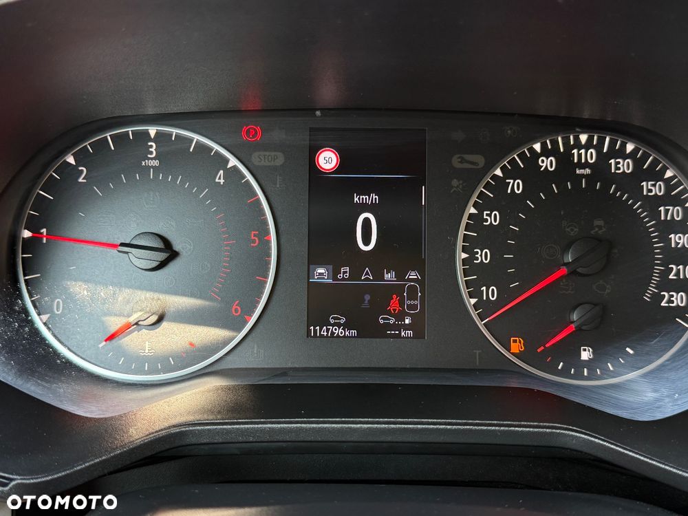 Renault Clio - 14