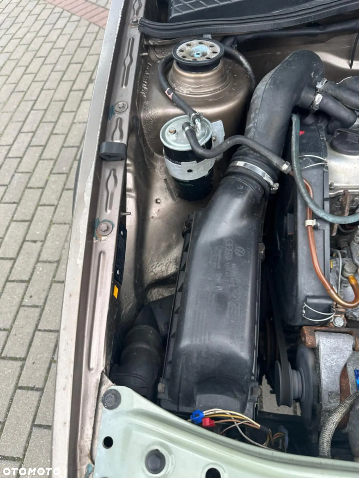 Volkswagen Golf - 25