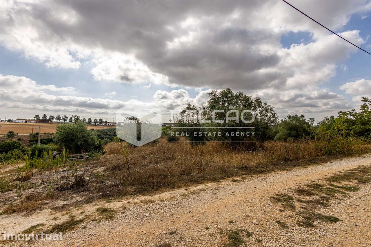 Terreno Misto  Venda em Abitureiras,Santarém - Grande imagem: 2/27