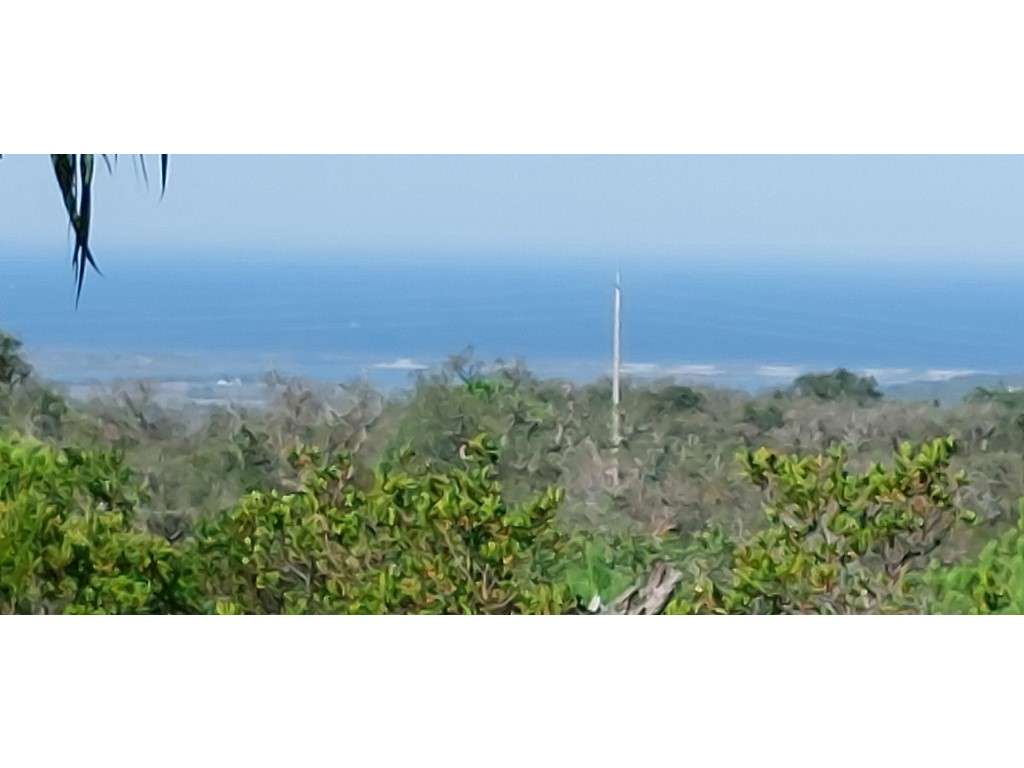 QUINTA, vista mar (5.575ha) - Grande imagem: 3/19