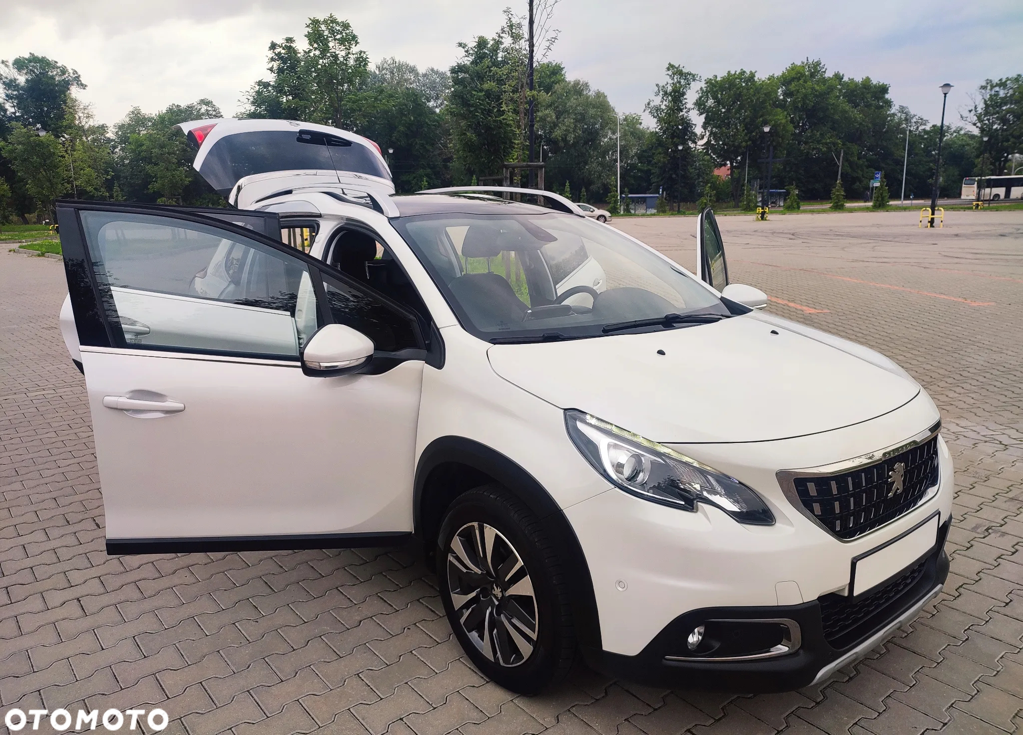 Peugeot 2008 1.6 BlueHDi Allure S&S - 12