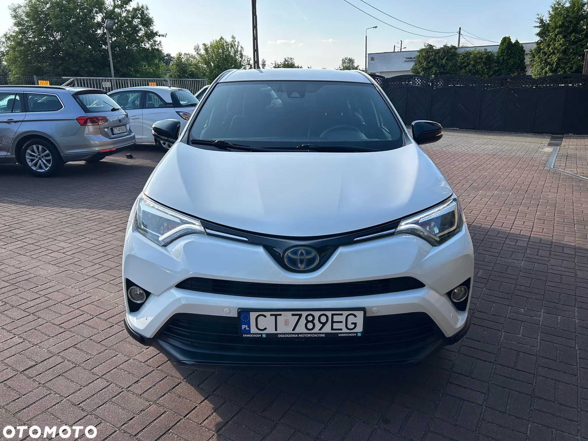 Toyota RAV4 Hybrid Premium 4x2 - 10