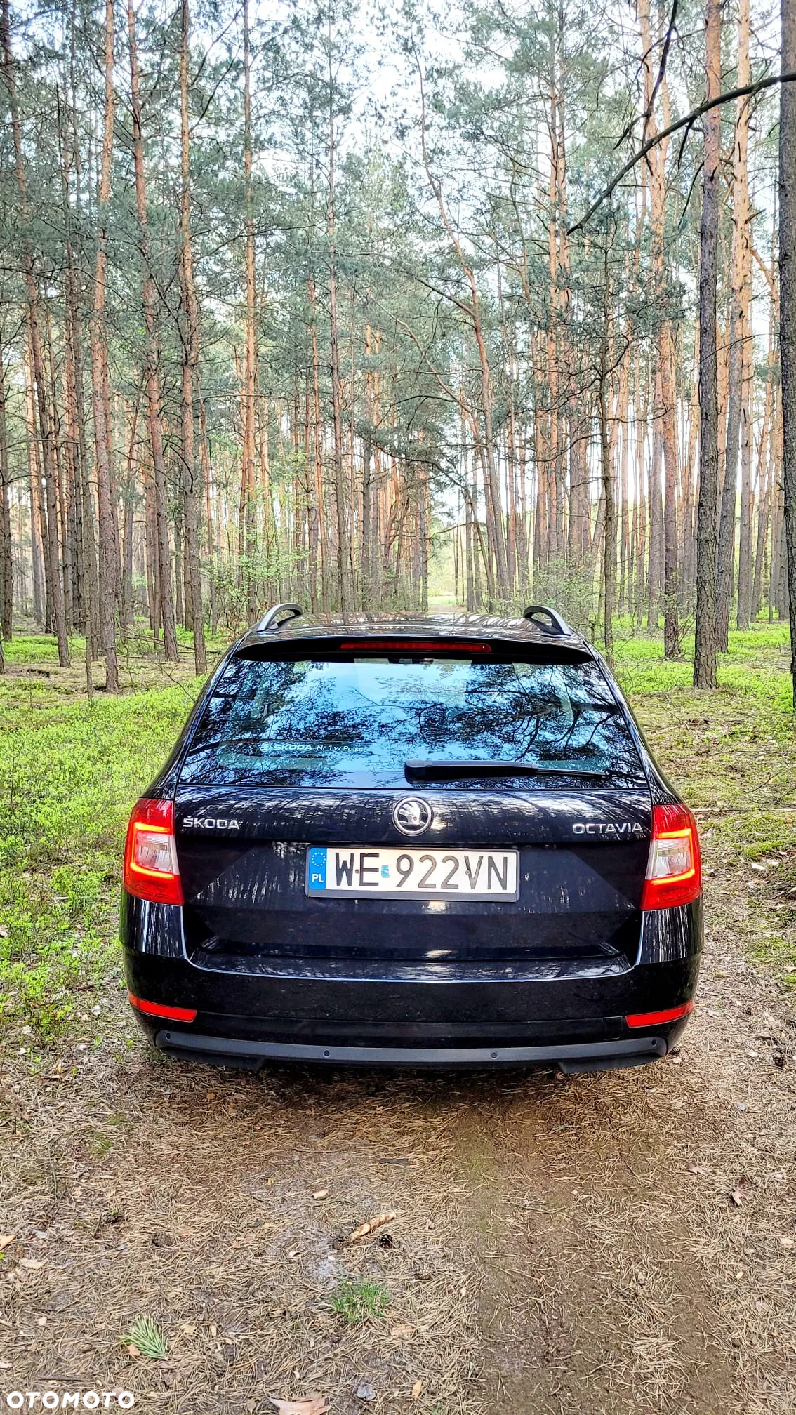 Skoda Octavia - 6