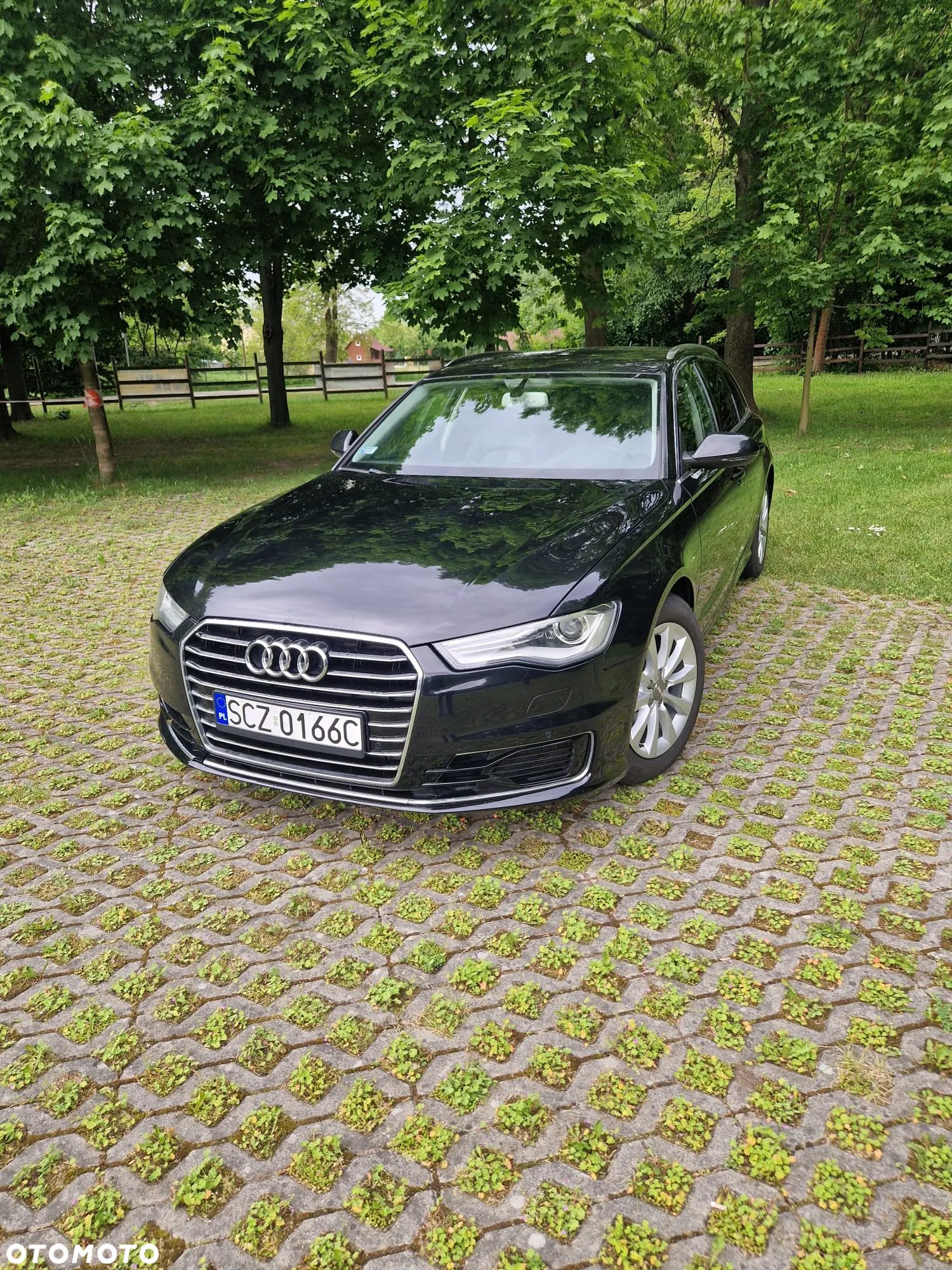 Audi A6 2.0 TDI ultra S tronic - 1