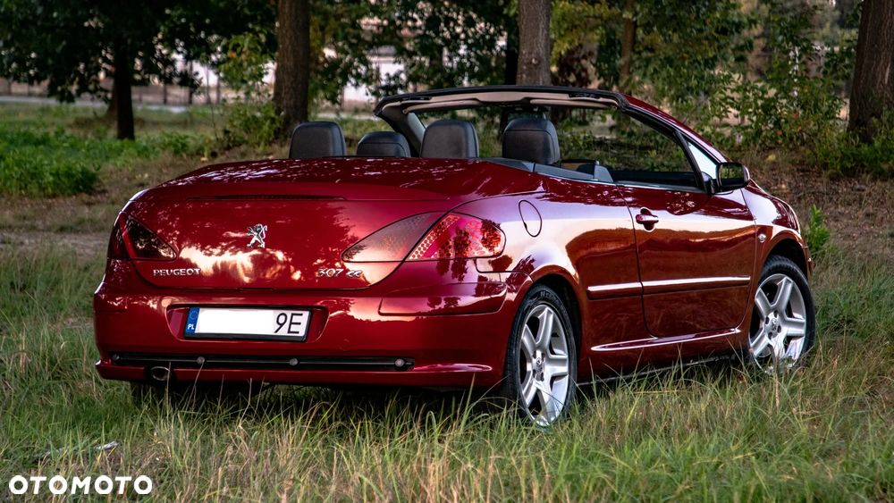 Peugeot 307 CC - 10