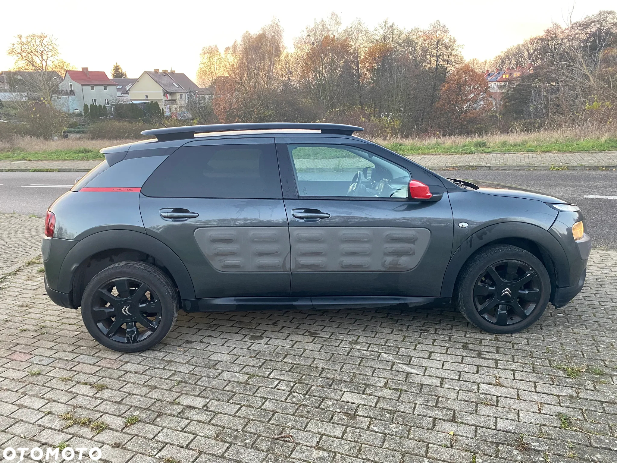 Citroën C4 Cactus 1.6 Blue HDi Shine - 7