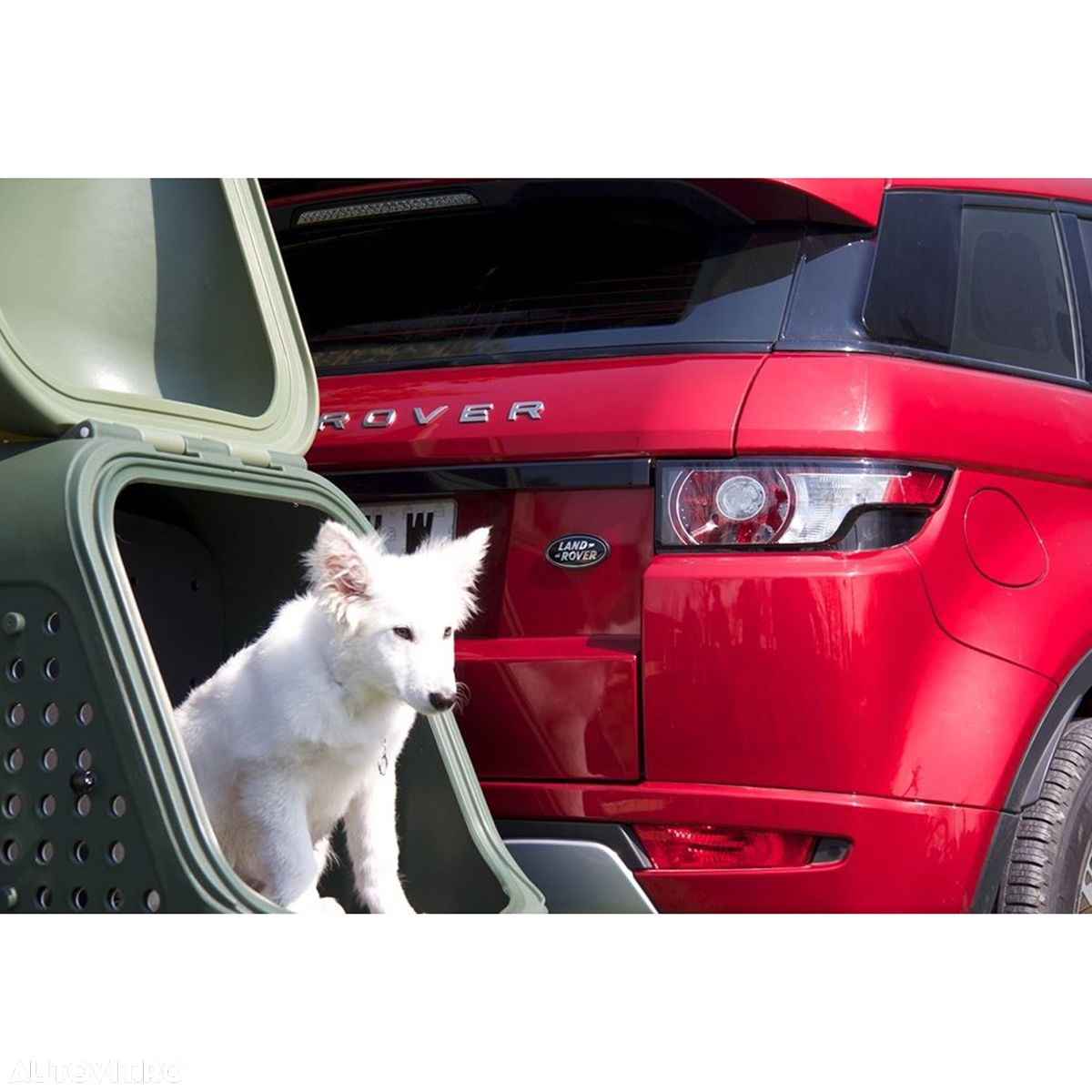 Cutie portbagaj pe carligul de remorcare Towbox V2 DOG Gri - 4