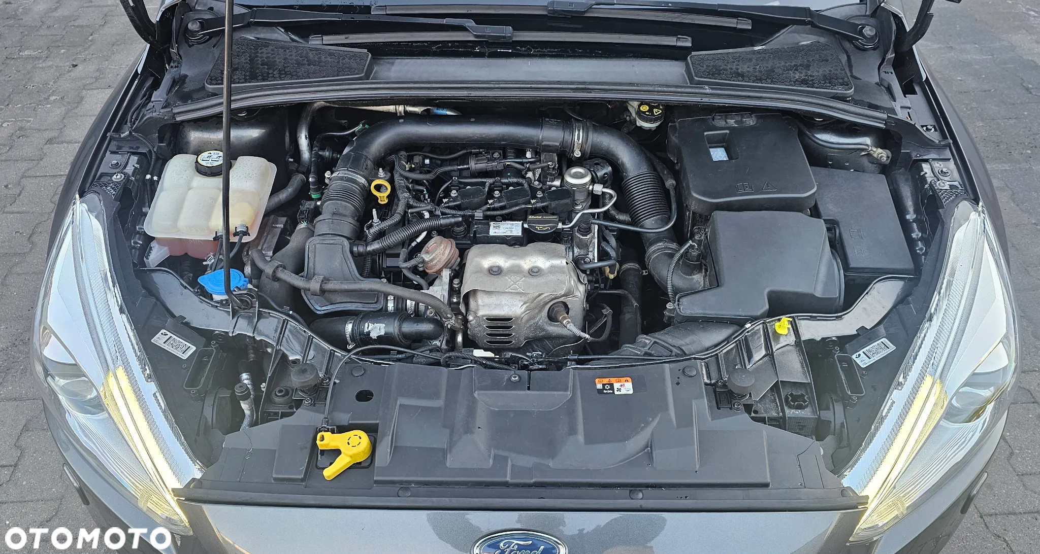 Ford Focus 1.0 EcoBoost Active - 17