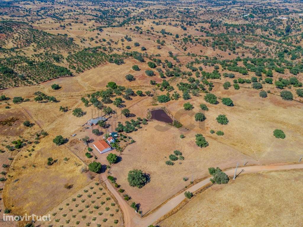 Herdade T3 em Serpa - Excelente oportunidade no Alentejo - Grande imagem: 2/24