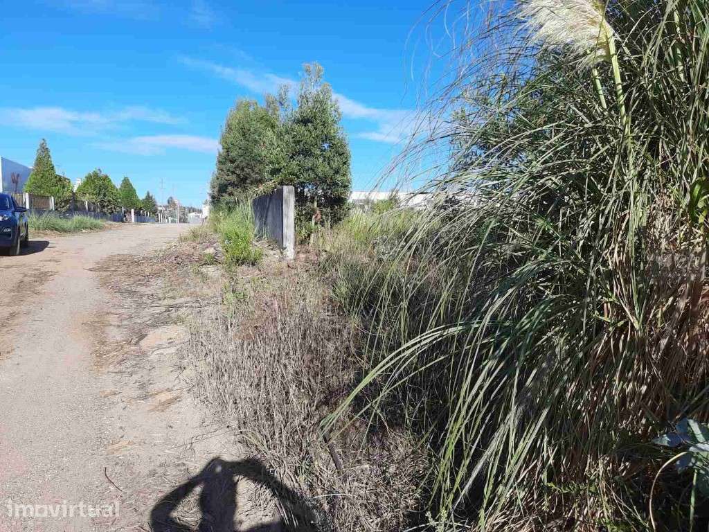 Terreno na Zona Industrial de Albergaria-a-Velha - Grande imagem: 5/5