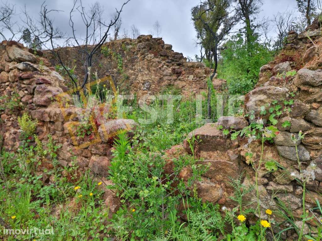 Terreno Rústico - Natural e Agroflorestal - Com 17062m2 - Com dois ... - Grande imagem: 3/19