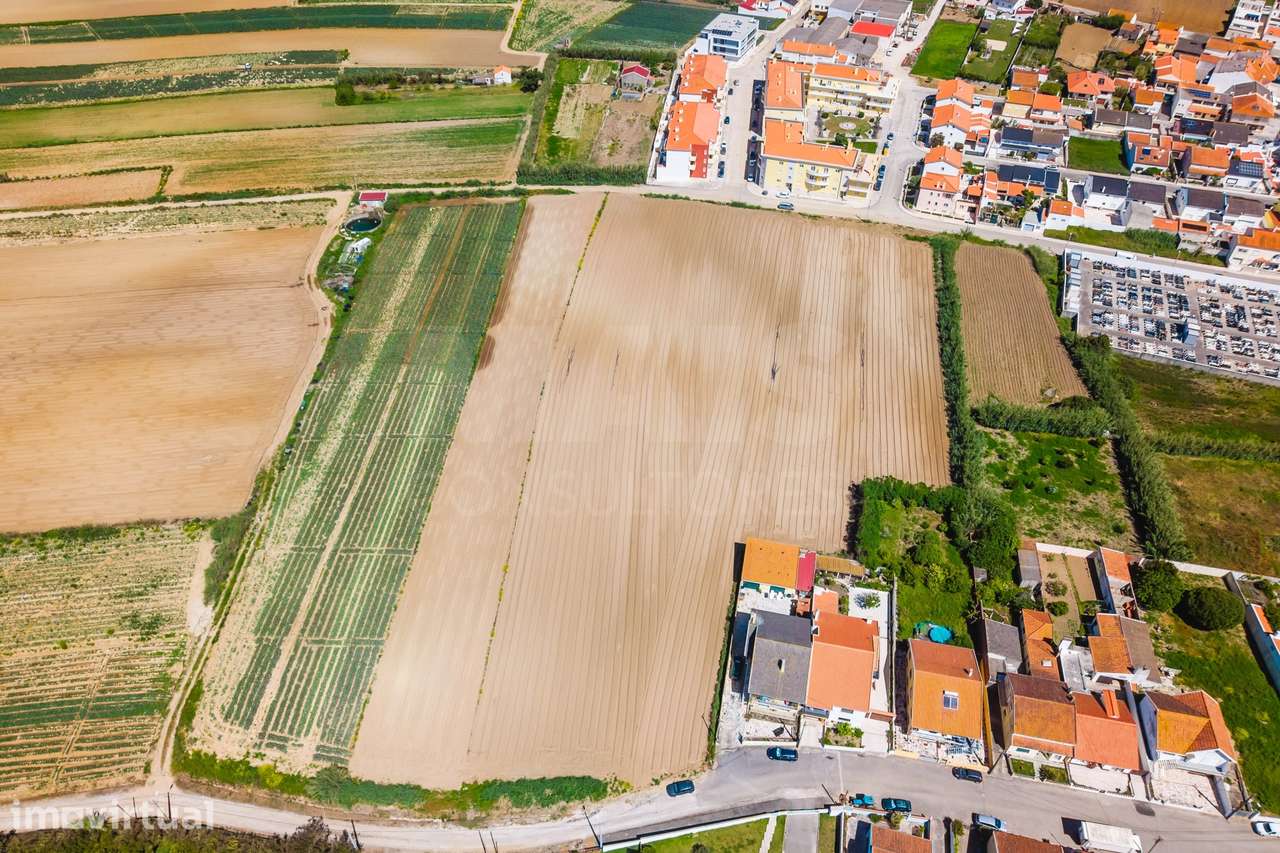 Terreno para Construção em Atouguia da Baleia - Grande imagem: 4/13