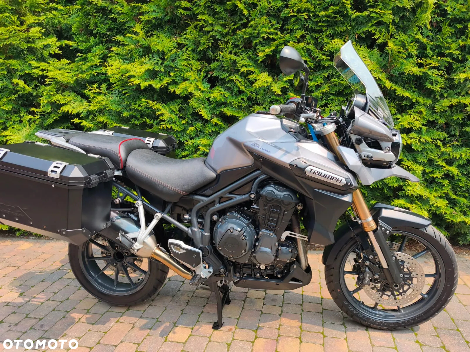 Triumph Tiger - 9