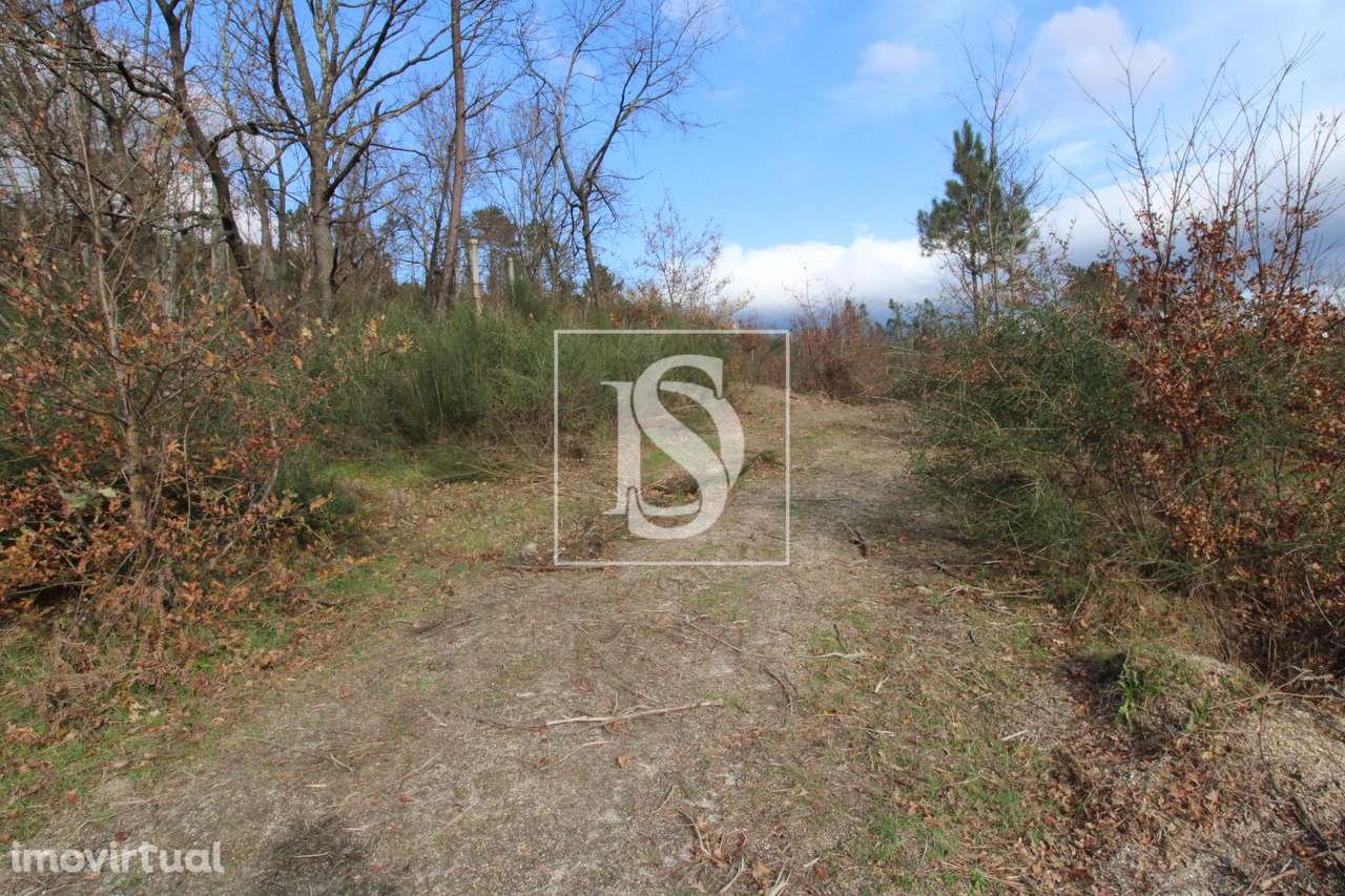 Terreno  Venda em Salvador do Monte,Amarante - Grande imagem: 2/16
