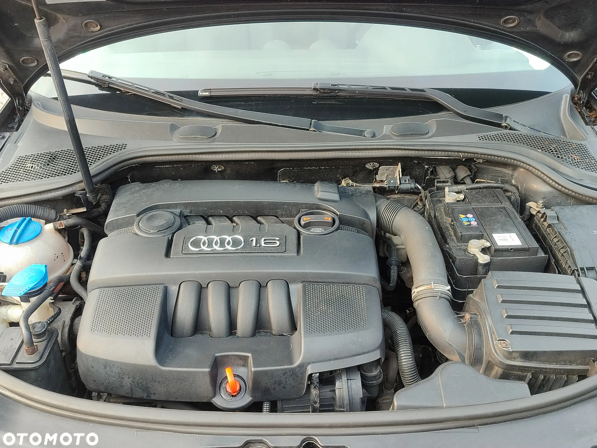 Audi A3 1.6 Sportback Attraction - 11