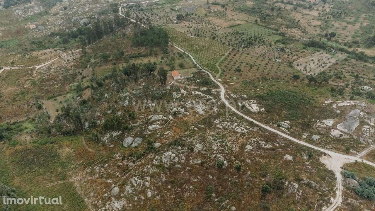 Quinta / Seia, Sameice e Santa Eulália - Grande imagem: 2/20