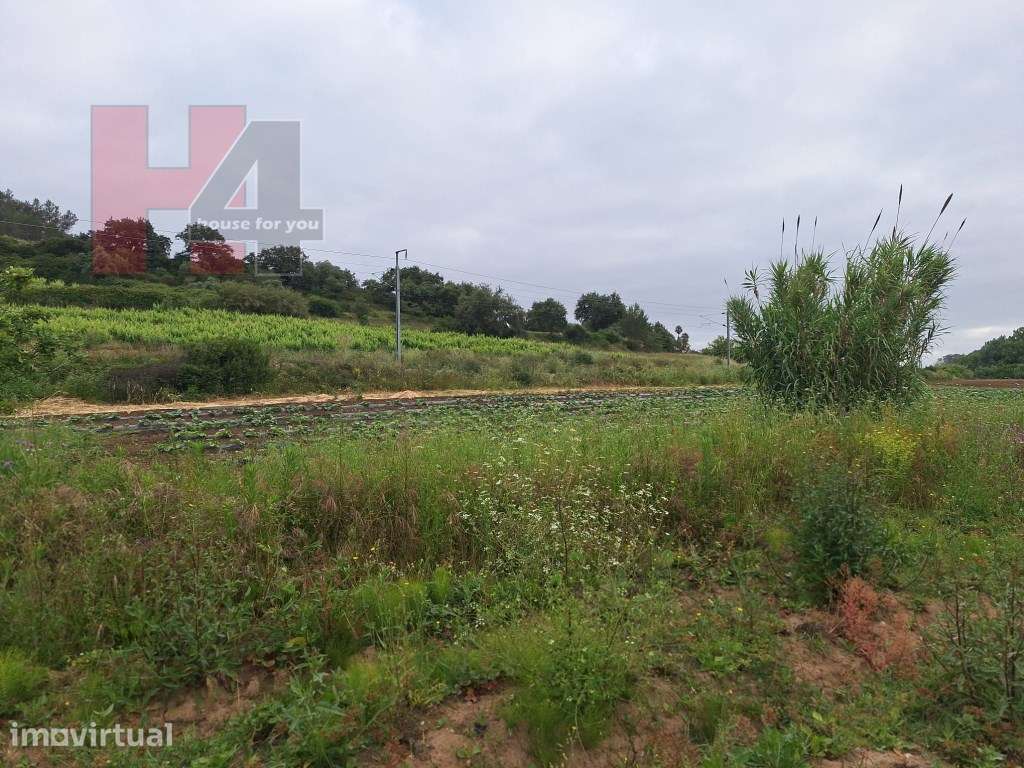 Terreno Rústico Plano com 15.560 m², 3 Poços e Eletricidade - Sapat... - Grande imagem: 4/12