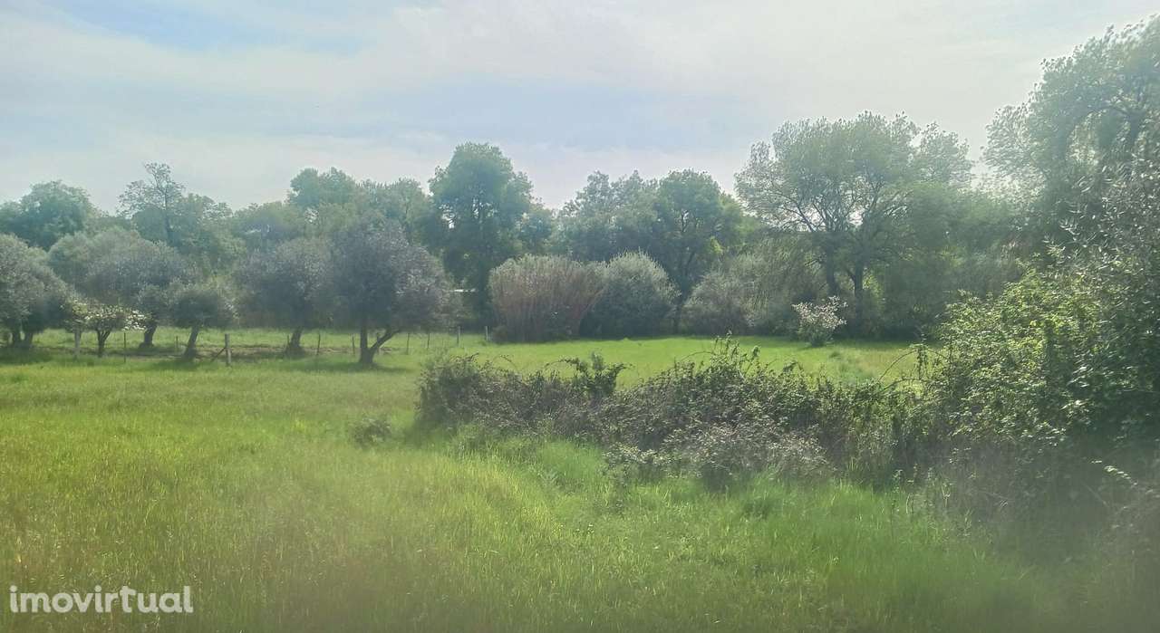 Terreno - Grande imagem: 3/8