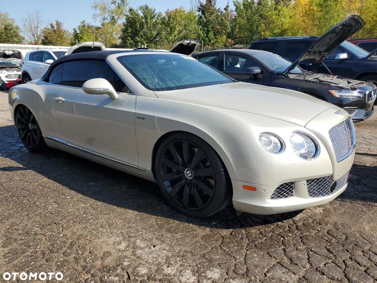 Bentley Continental GT GTC - 1
