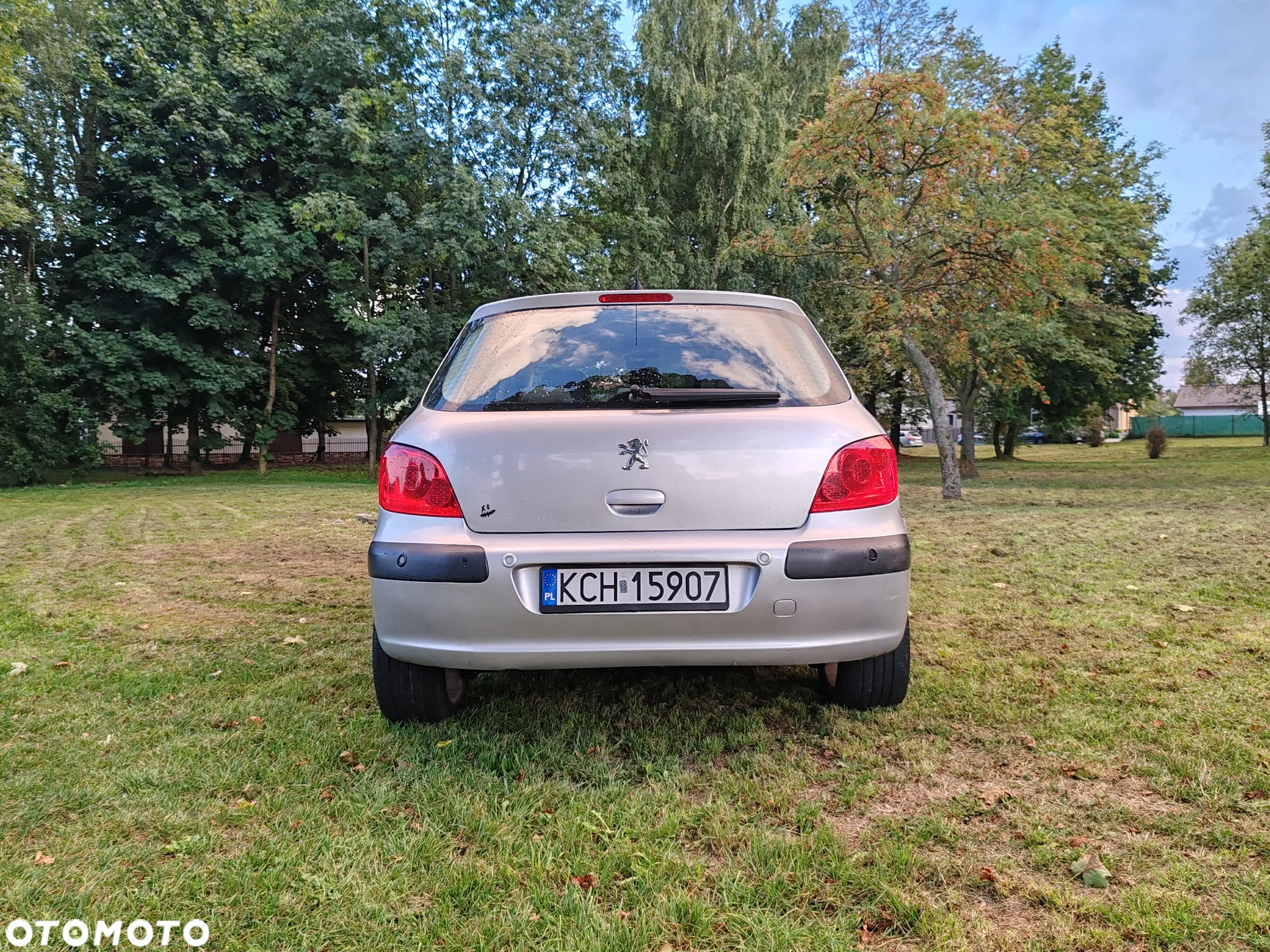 Peugeot 307 HDi Break 110 Sportline - 10