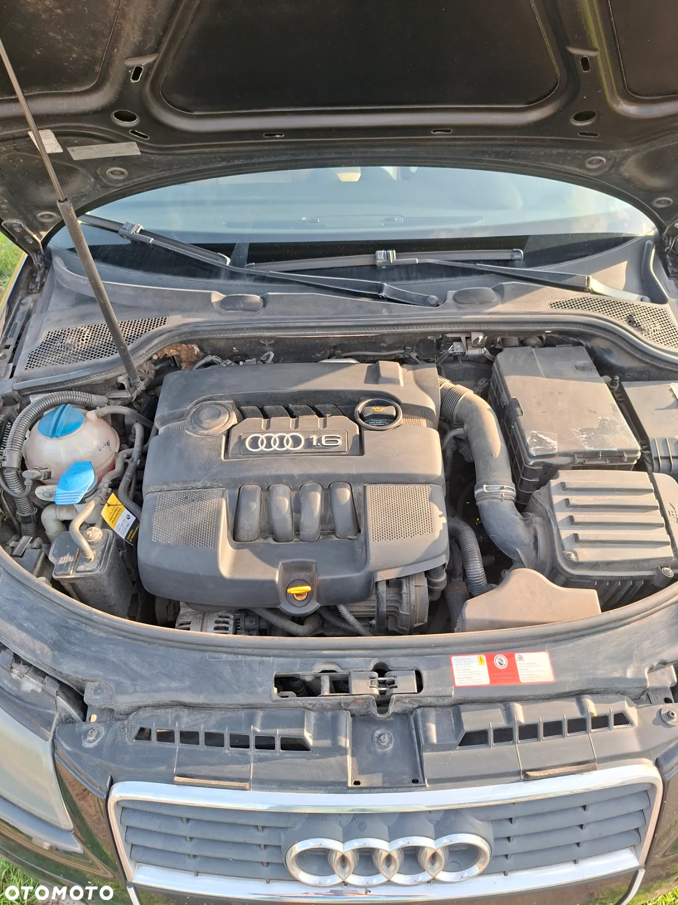 Audi A3 1.6 Ambition - 5