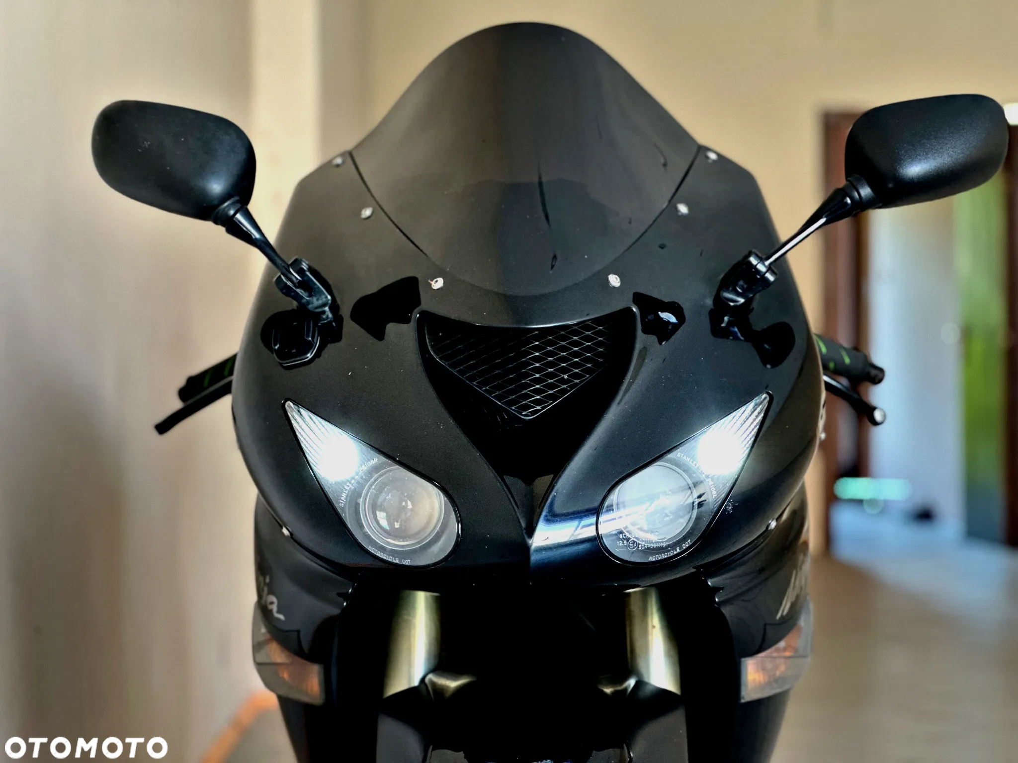 Kawasaki Ninja - 12