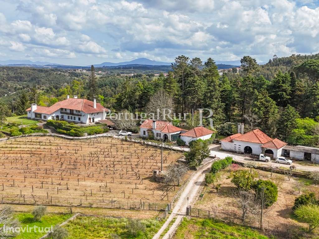 Quinta de 3,6ha com Casa Senhorial, Vinhas e Olival - Grande imagem: 5/60