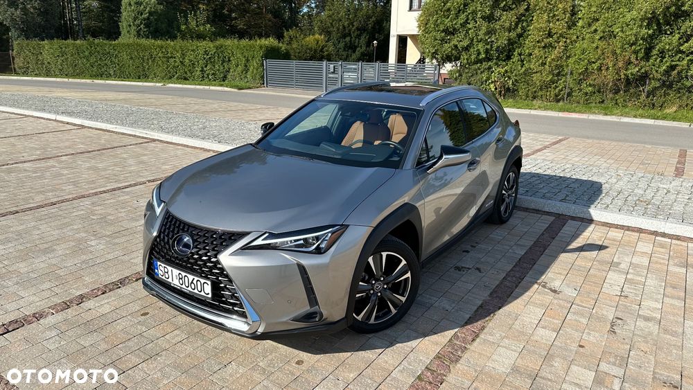 Lexus UX 250h GPF Prestige AWD - 14