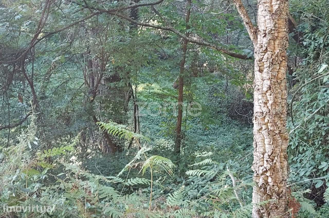 Terreno Rustico com 1490m2, em Gondomar, Porto - Grande imagem: 3/15
