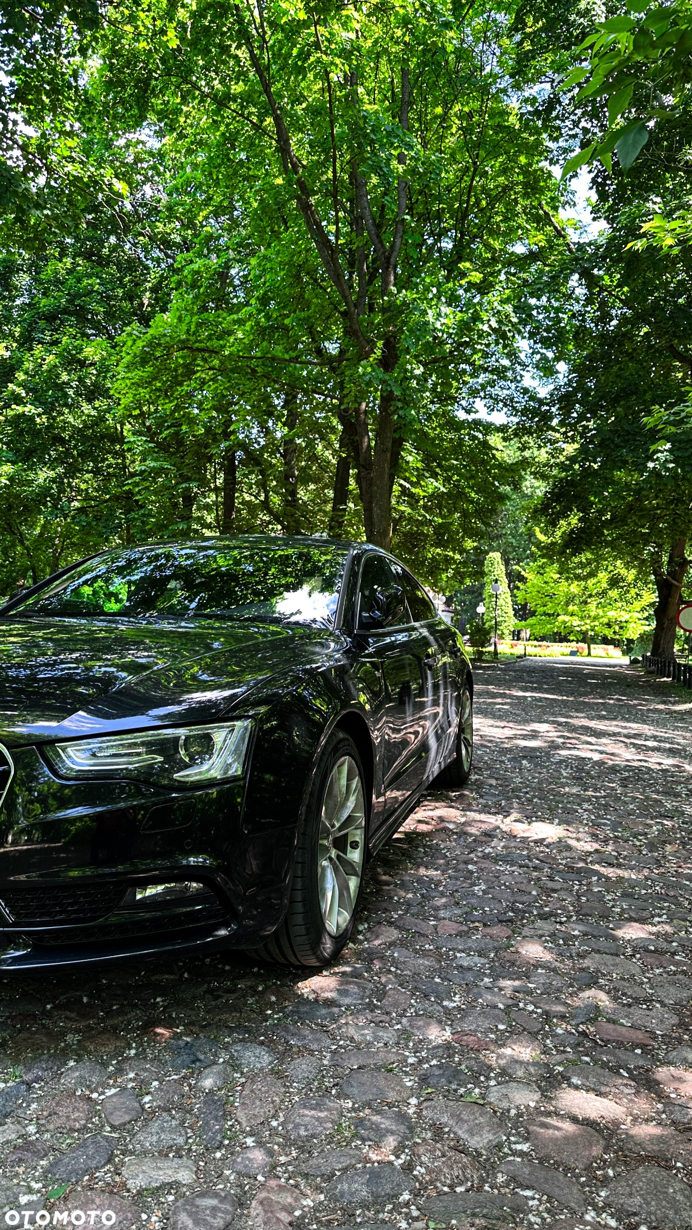 Audi A5 3.0 TDI Quattro S tronic - 5
