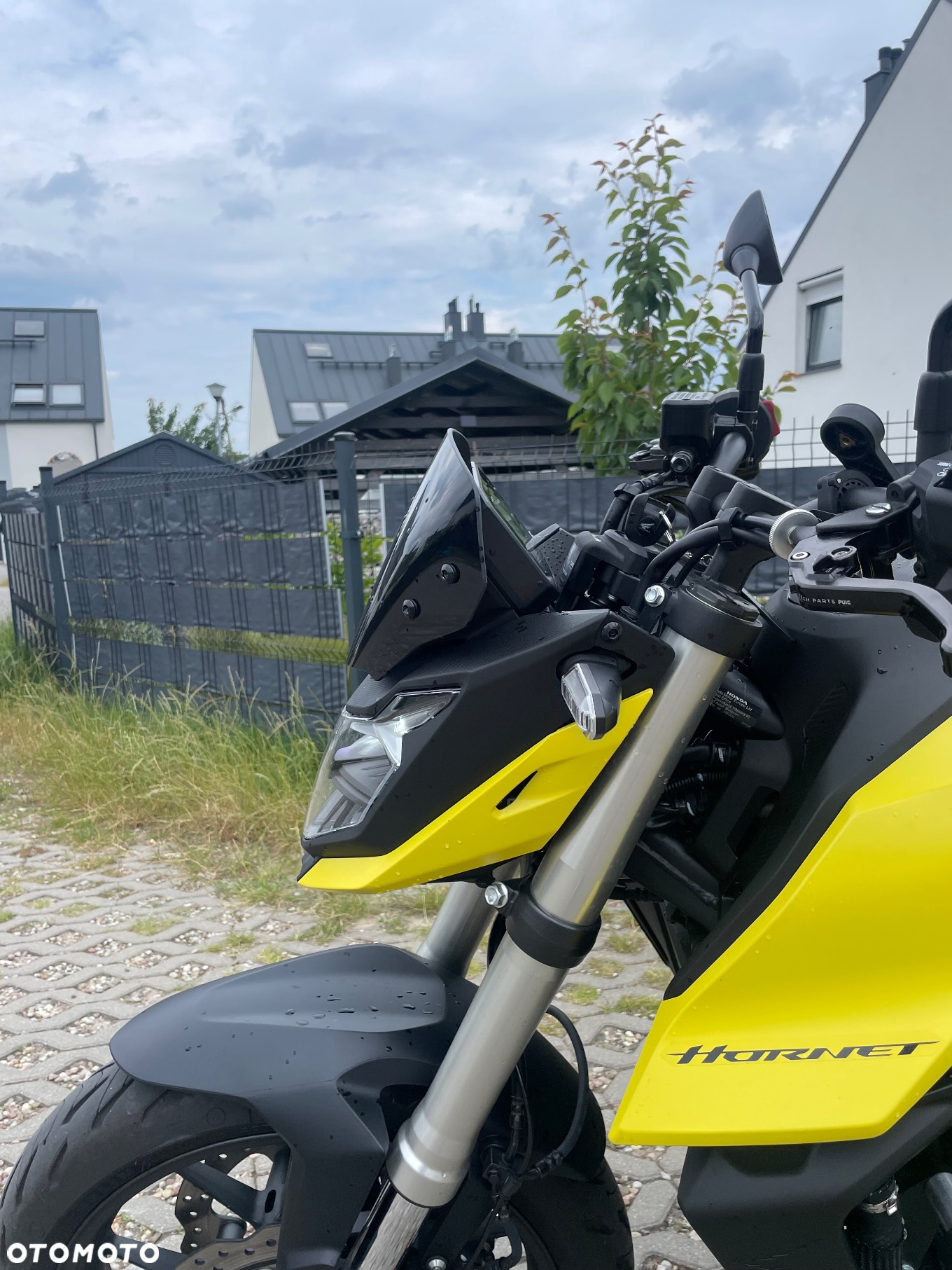 Honda Hornet - 6