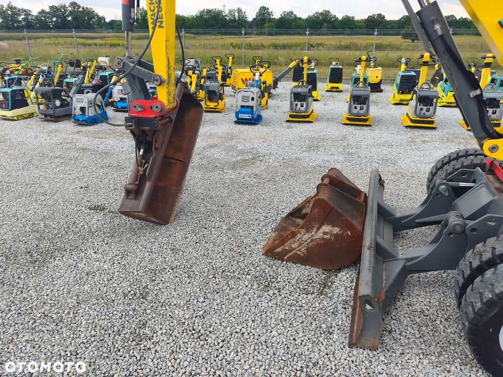 Wacker Neuson 6503 - 15
