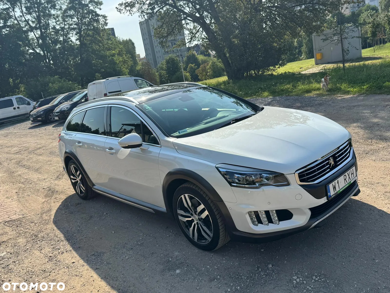Peugeot 508 ver-2-0-bluehdi-rxh-s-s - 3