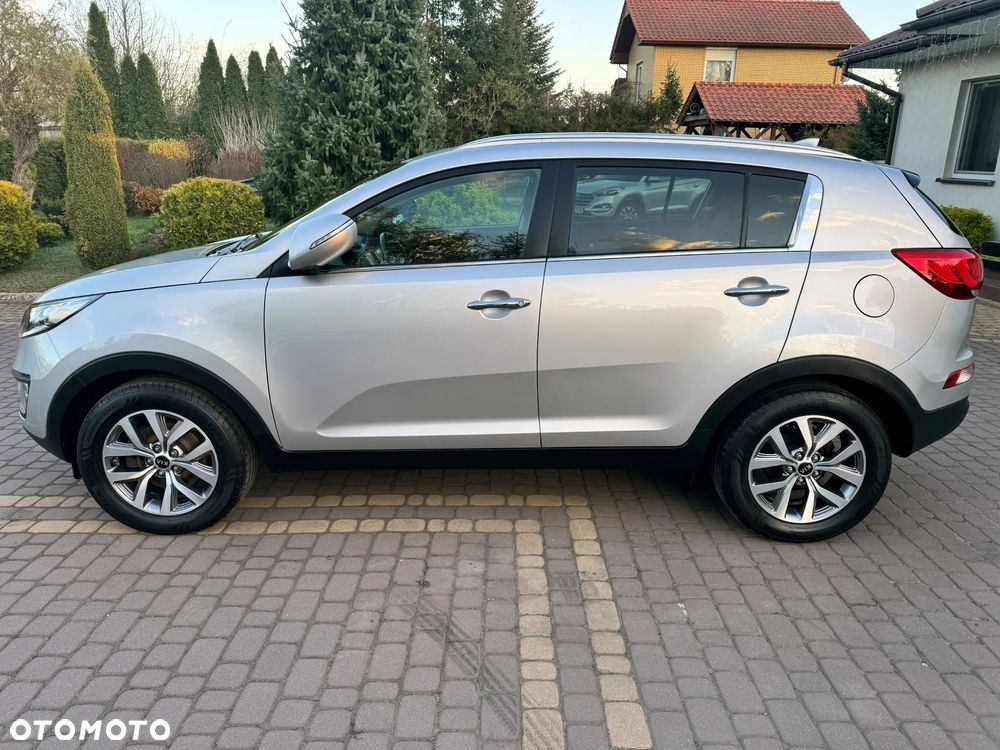 Kia Sportage - 14