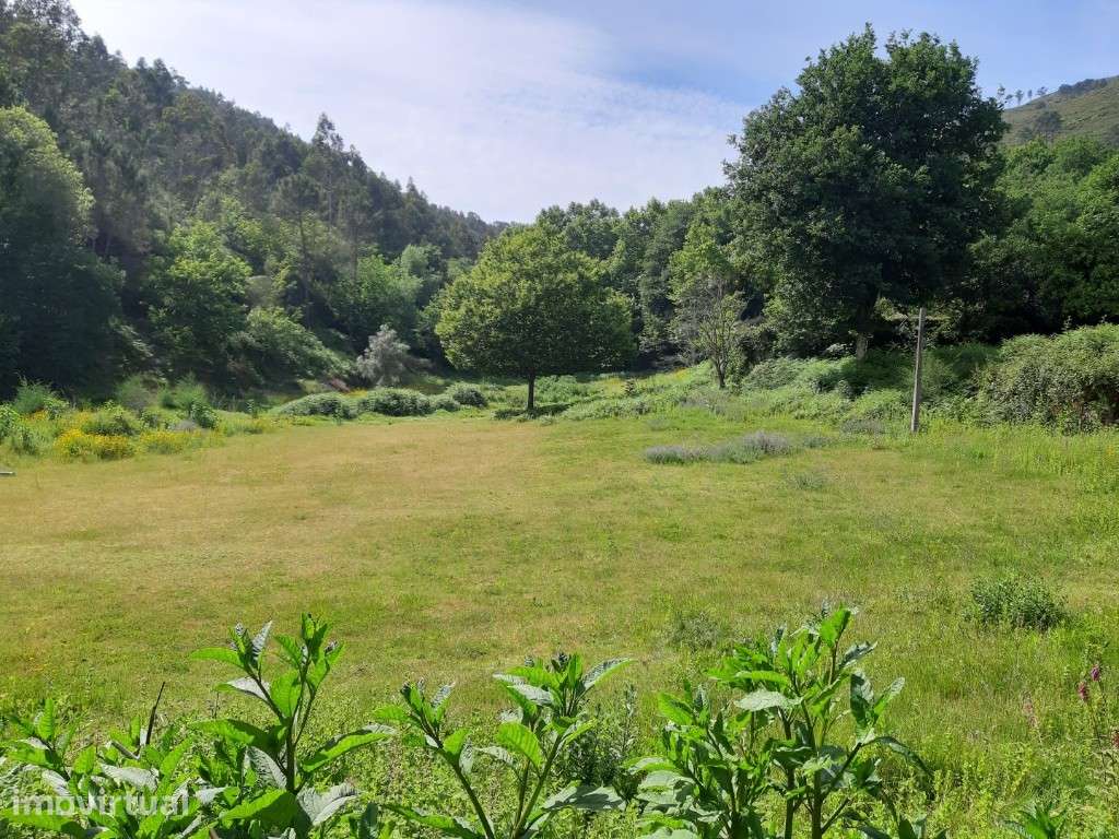 Terreno Agrícola - Valdosende - Grande imagem: 4/8