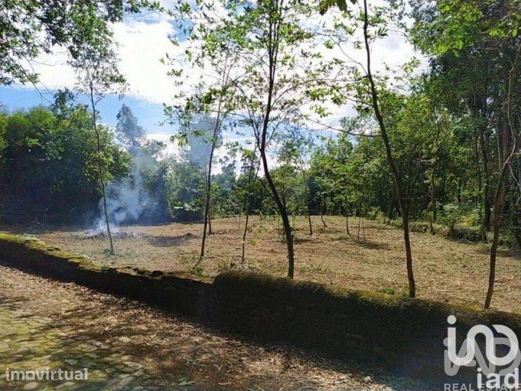 Terreno em Seixas de 1934,00 m2