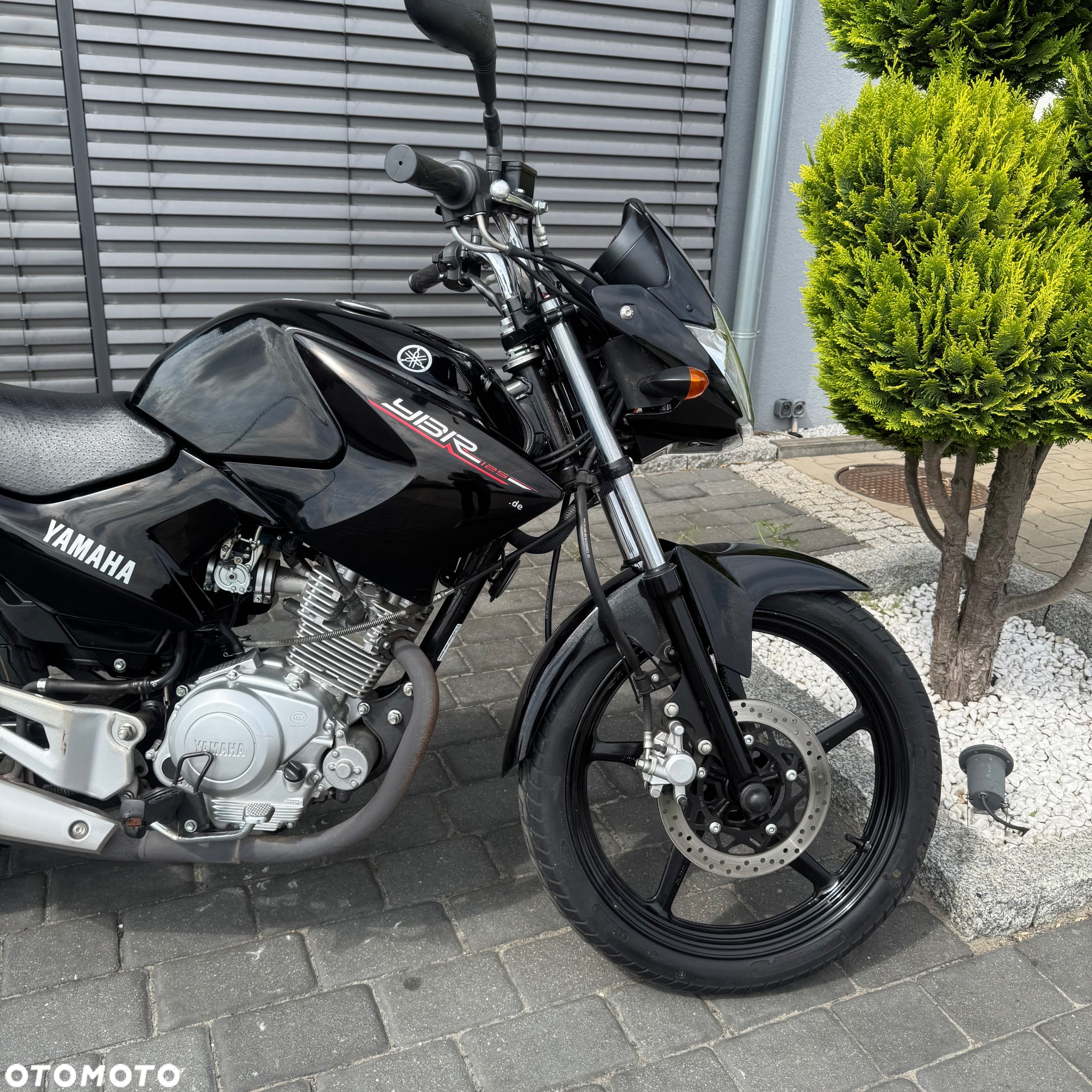 Yamaha YBR - 6