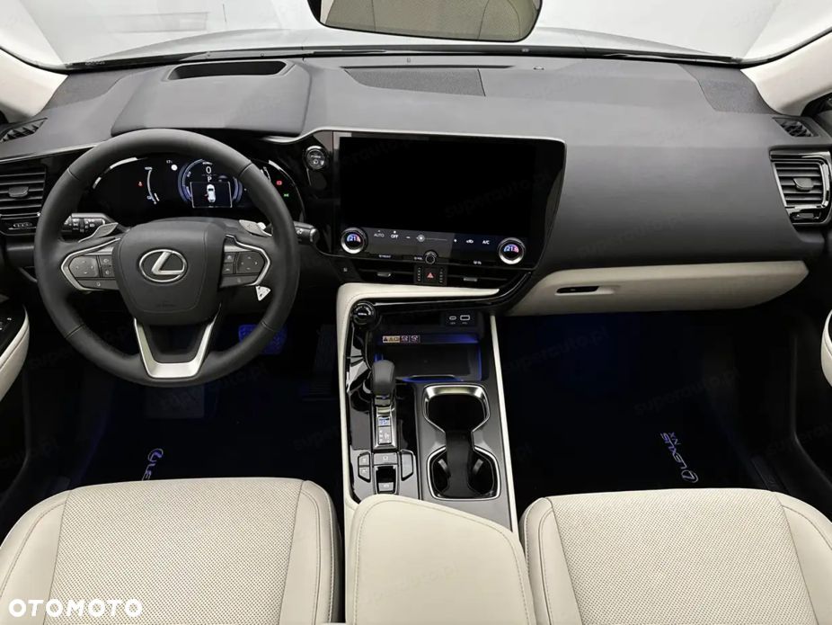 Lexus NX - 10