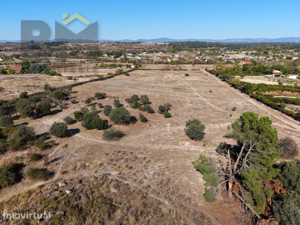 8 hectares de natureza a poucos minutos de Castelo Branco - com pos... - Grande imagem: 4/7