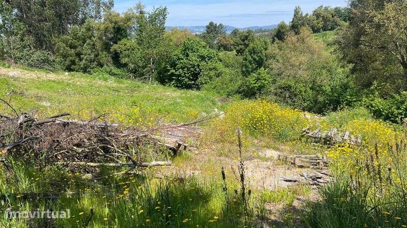 TERRENO 3.000 m² | Sao Mamede de  NEGRELOS – Santo Tirso - Grande imagem: 2/6