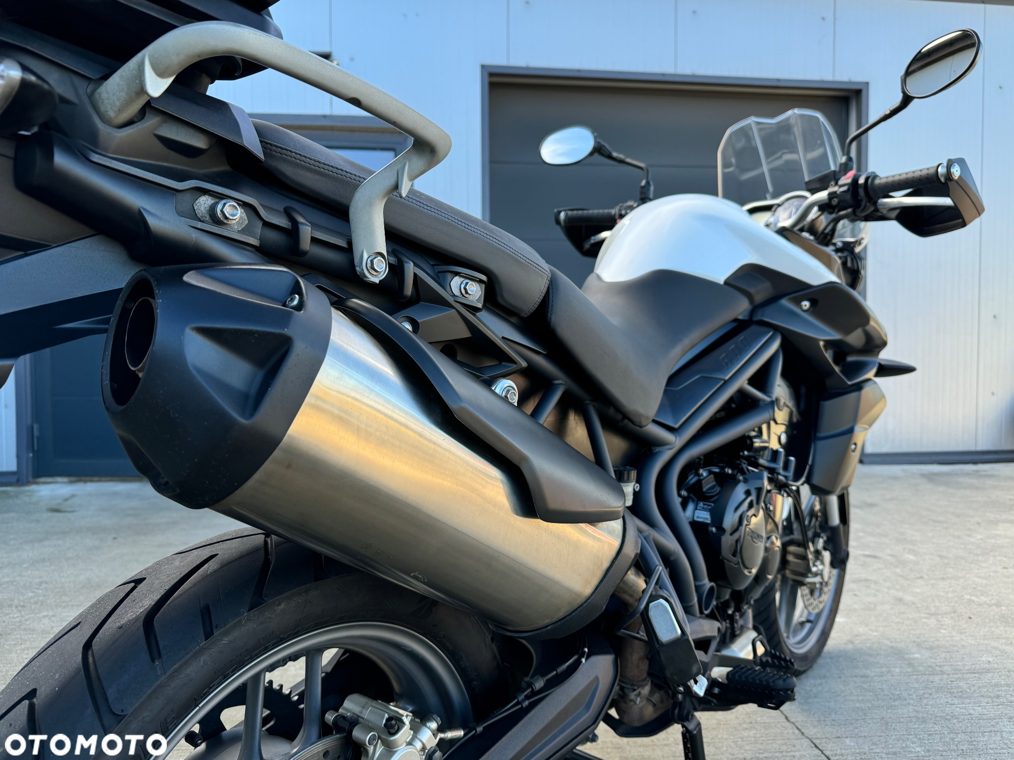 Triumph Tiger - 19