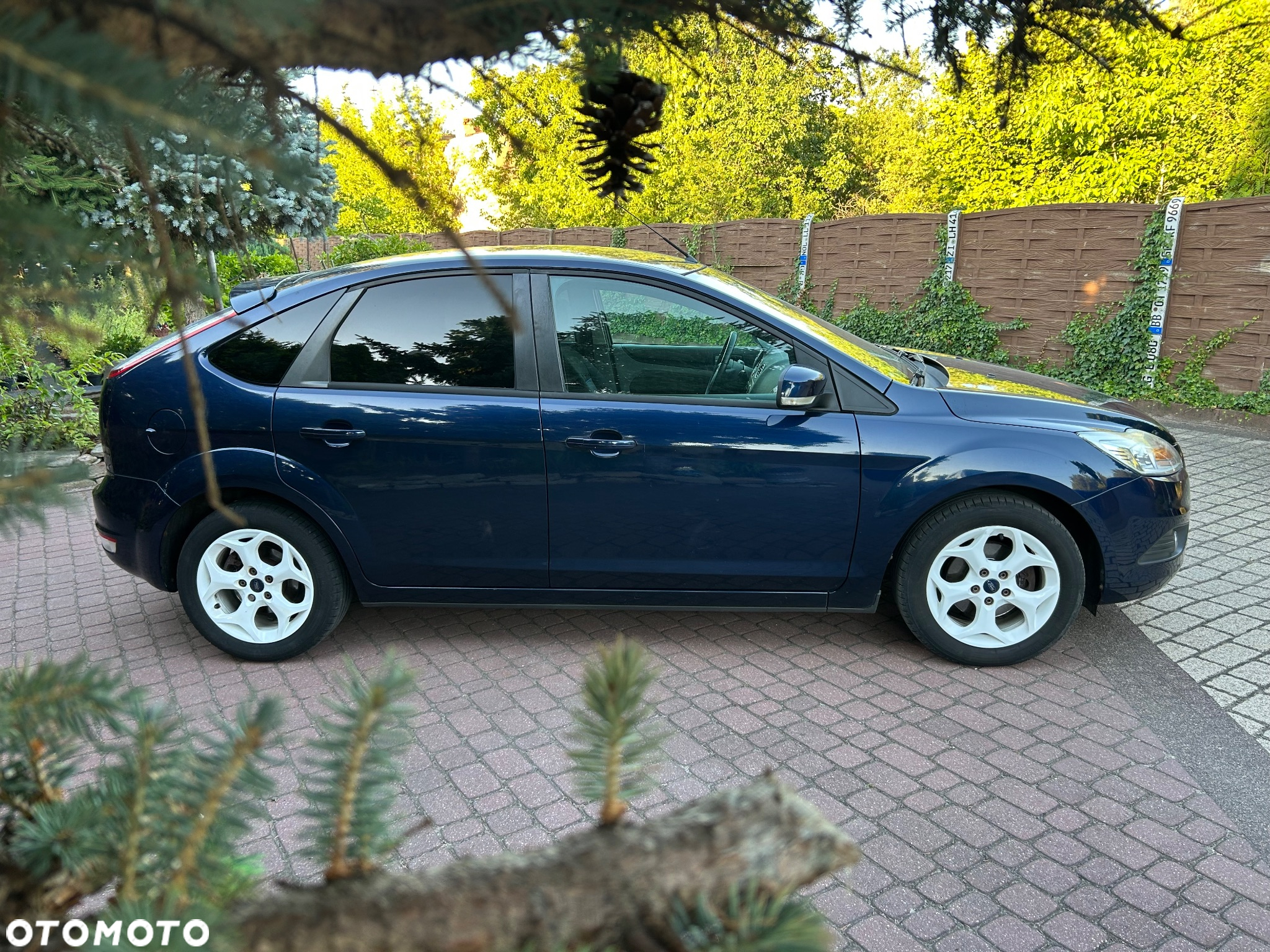 Ford Focus - 25