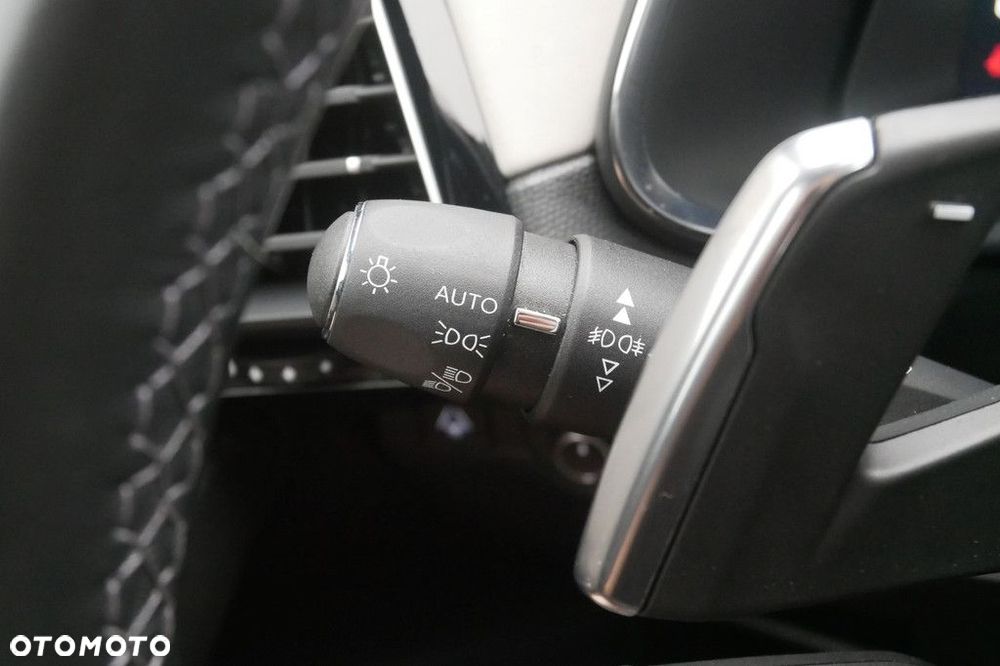 DS Automobiles DS 7 - 31