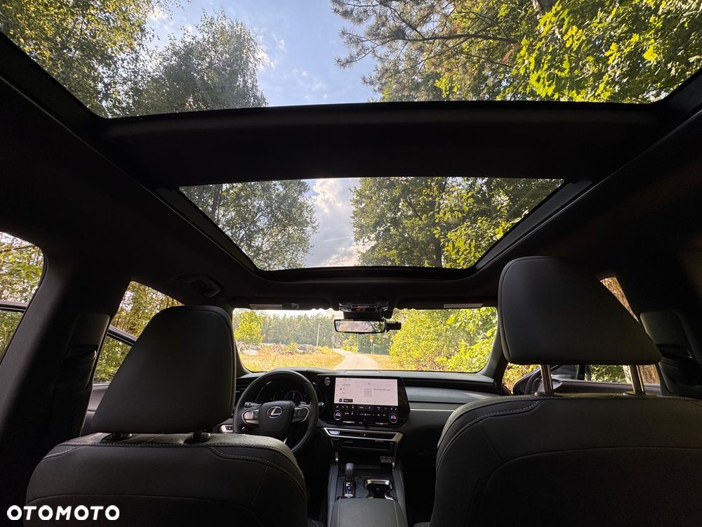 Lexus RX - 26