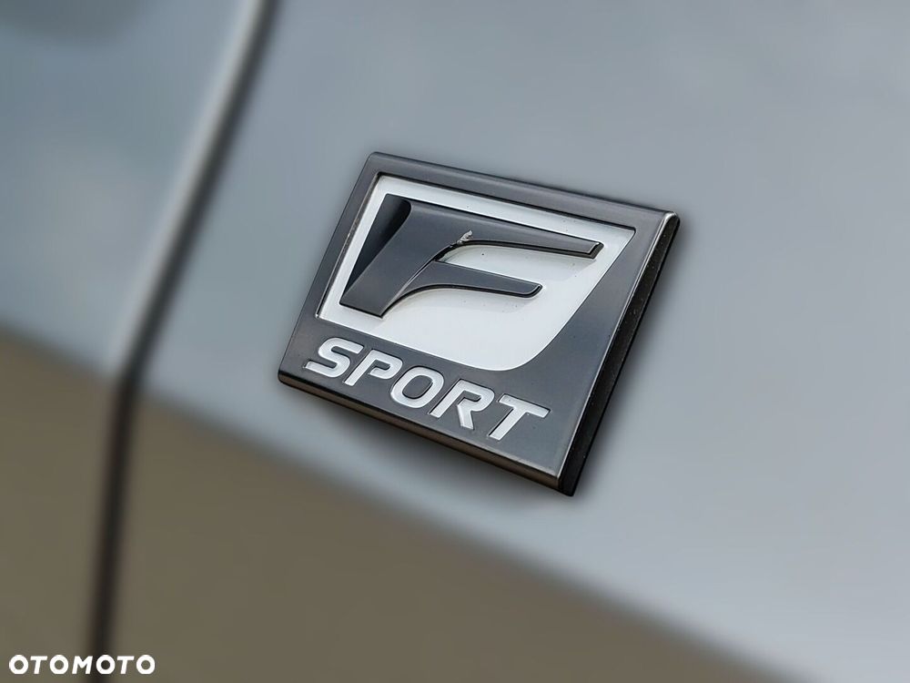 Lexus UX 250h GPF F Sport Edition 2WD - 34
