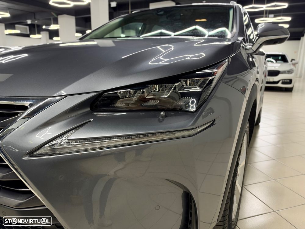 Lexus NX 300h Executive Plus - 12