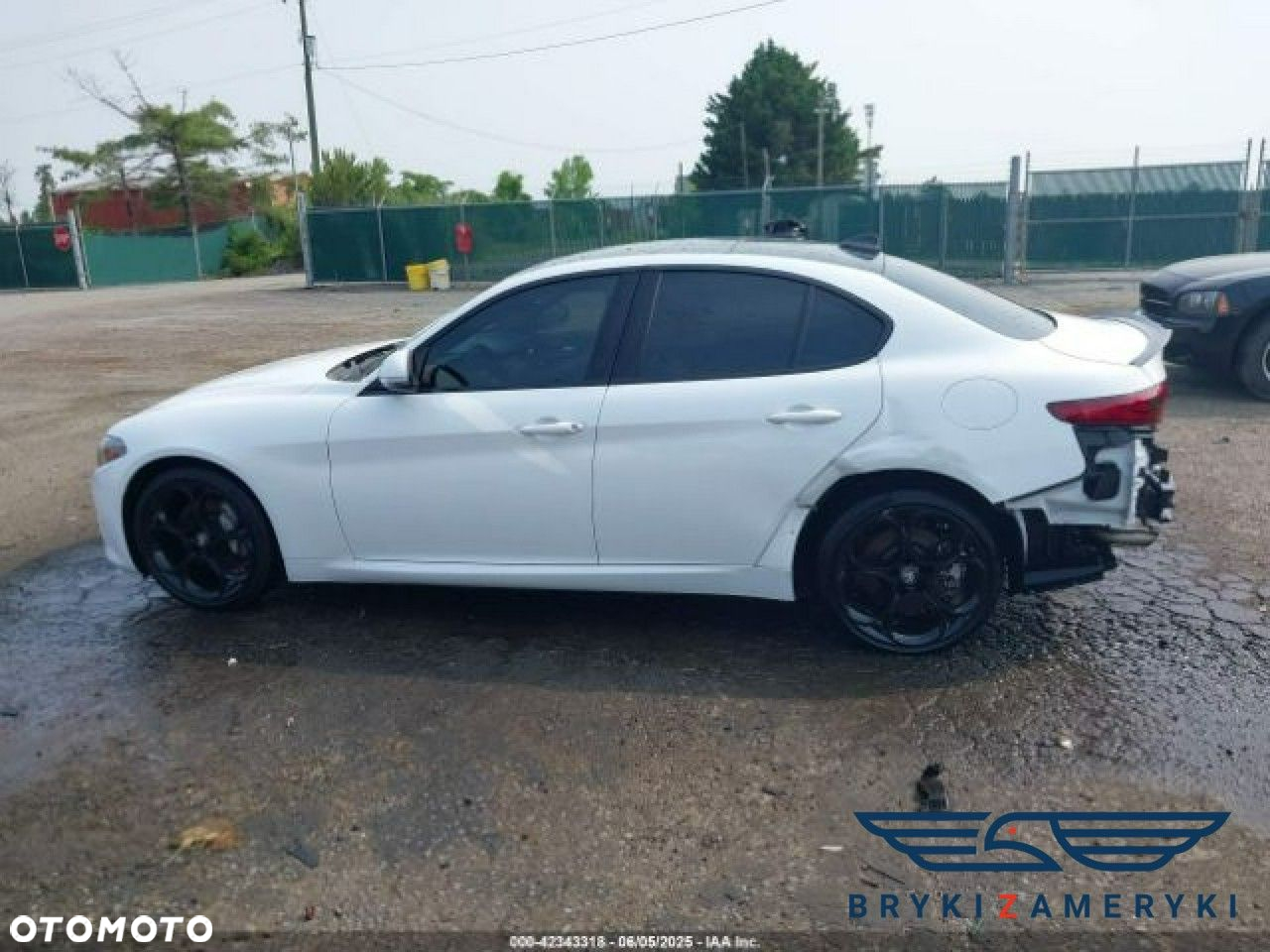 Alfa Romeo Giulia - 7