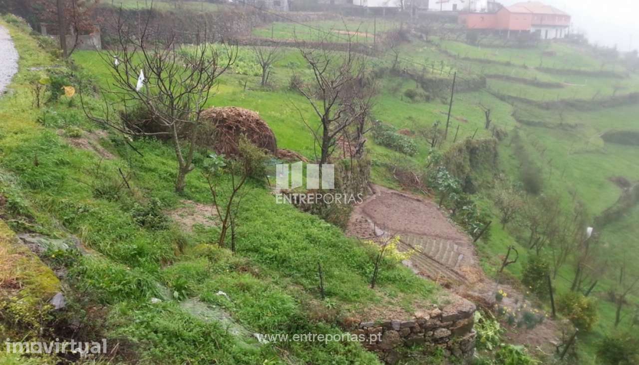 Venda Terreno, Teixeira, Baião - Grande imagem: 4/8