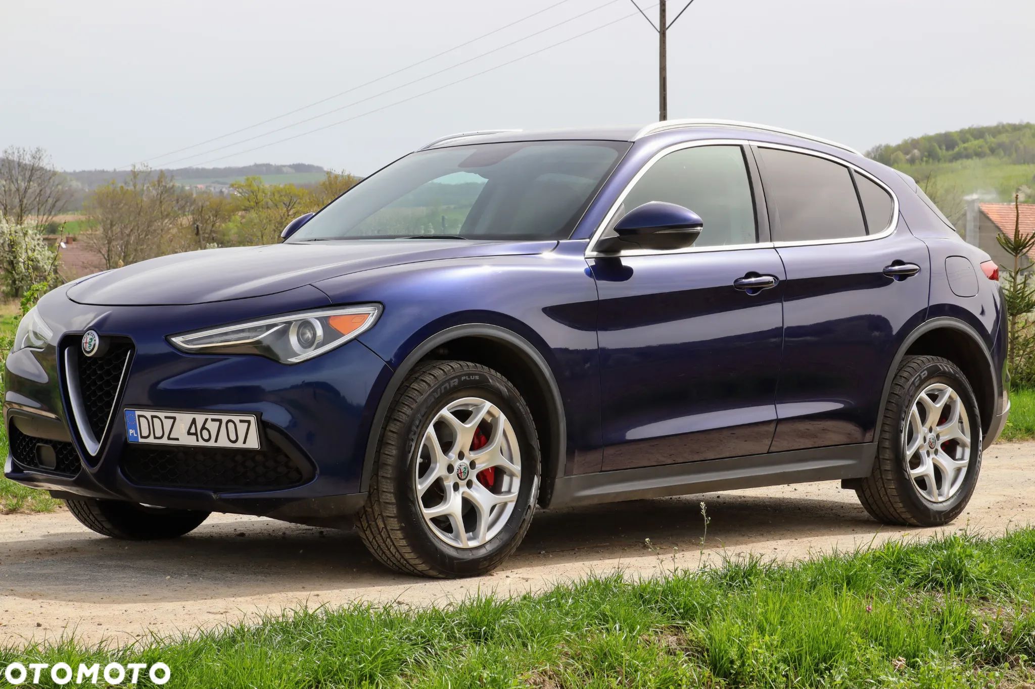 Alfa Romeo Stelvio 2.0 Turbo Executive Q4 - 1